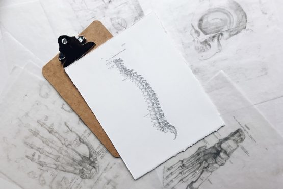 chiropractor in abbotsford